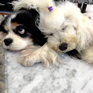 �኱