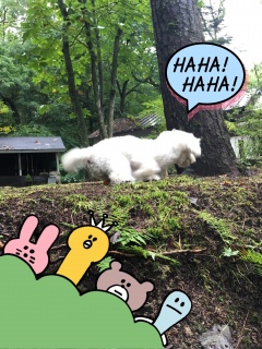 �ł���