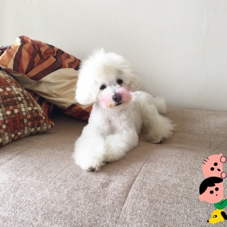 �p����������