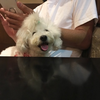 ���߂�