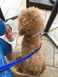 ���[�j���O