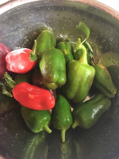 ���O����