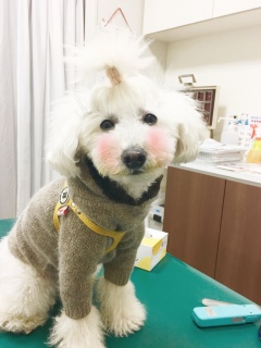 ����