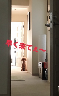 ��ʒu