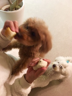 ���에��