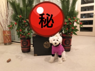 �閧