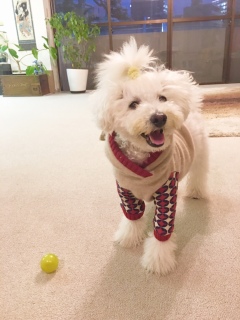 �E���܂�