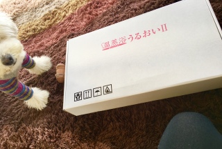 �p�p�����