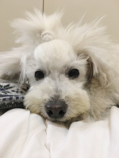 �悭�悭