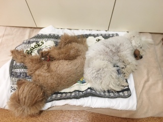 ����