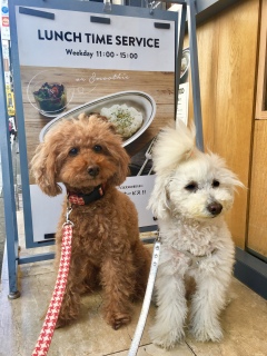�J���[