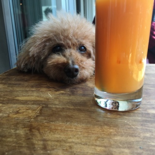 �W���W���[
