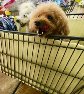 �z�[���Z���^�[